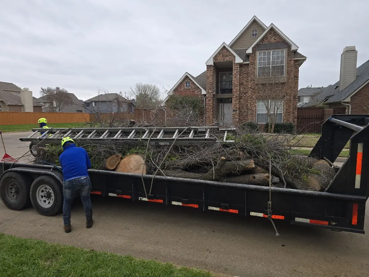 Expert Tree Pest Control with proper safety equipment in Humnoke